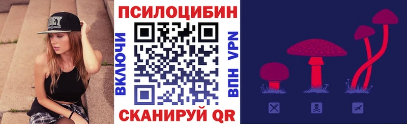 Псилоцибиновые грибы Psilocybine cubensis Миллерово